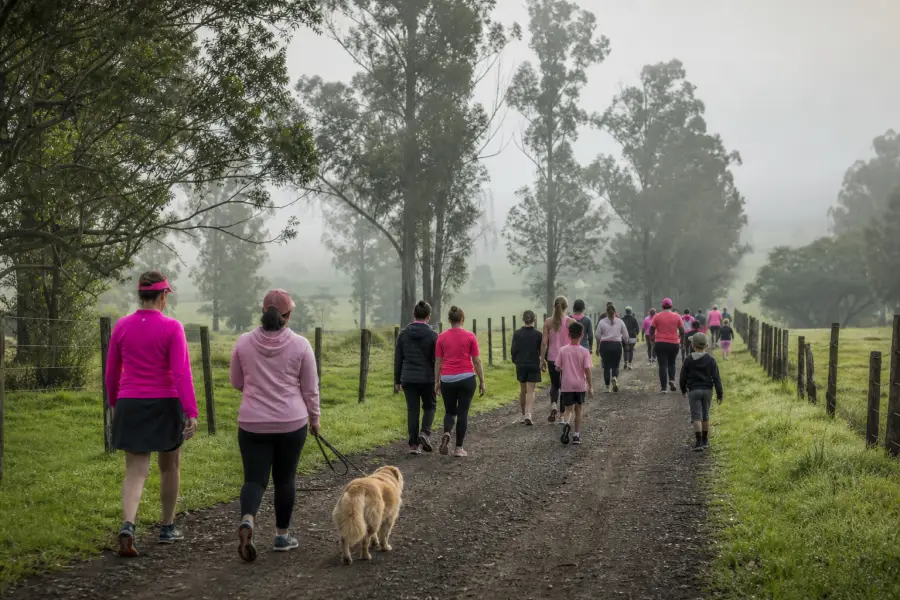 Walkers and a dog on a misty farm road