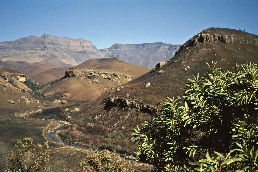 The peak of Giant's Castle above grassland