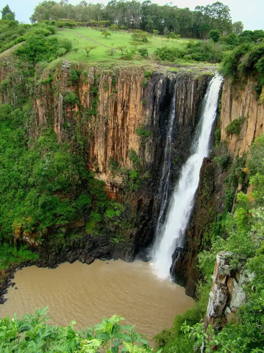 Howick Falls dropping into a forested gorge