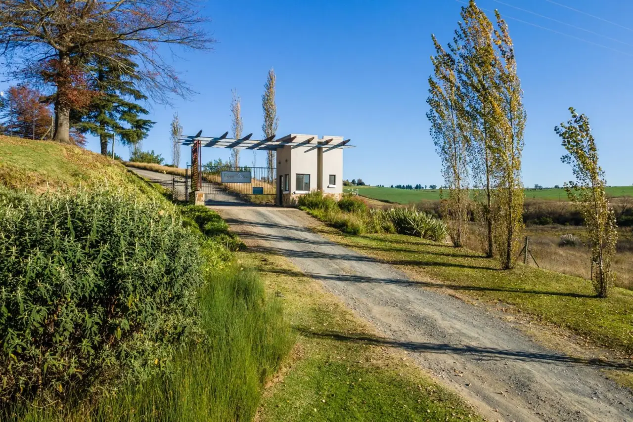Vacant Land / Plot for Sale in Rosetta, photo 5