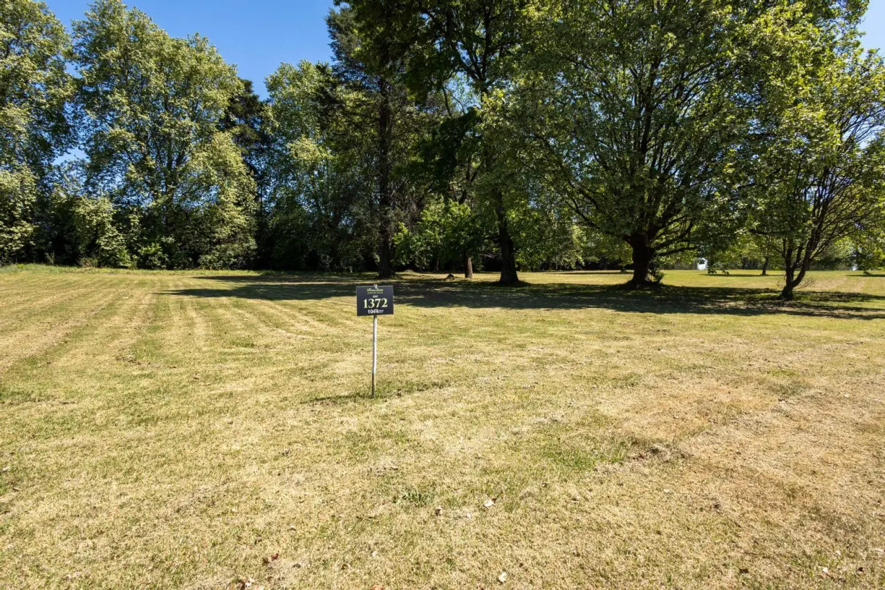 Vacant Land / Plot for Sale in Nottingham Road, photo 3