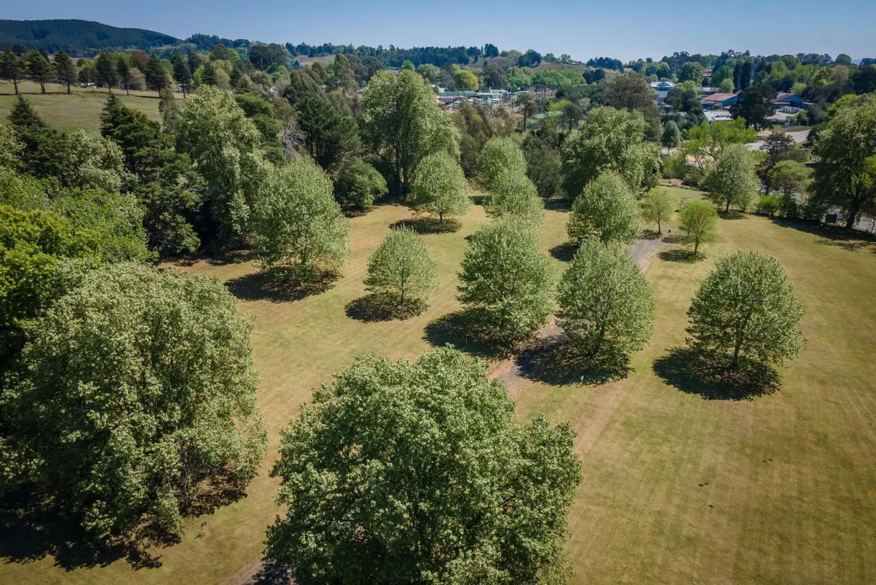 Vacant Land / Plot for Sale in Nottingham Road, photo 7