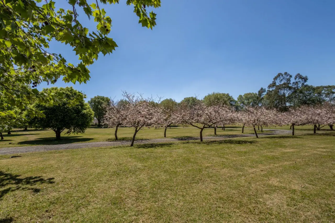 Vacant Land / Plot for Sale in Nottingham Road, photo 10