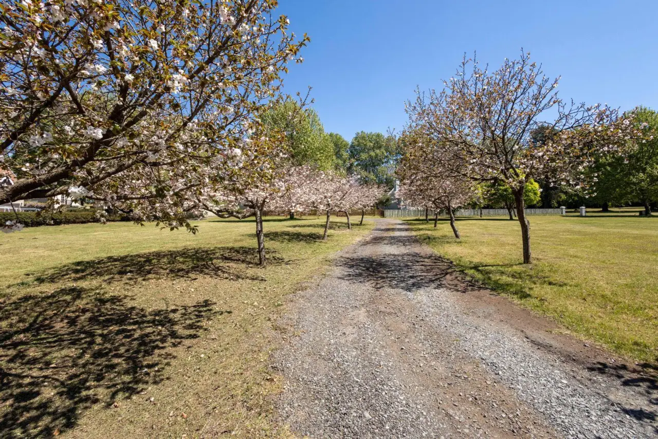 Vacant Land / Plot for Sale in Nottingham Road, photo 12
