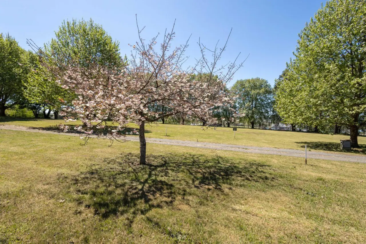 Vacant Land / Plot for Sale in Nottingham Road, photo 18