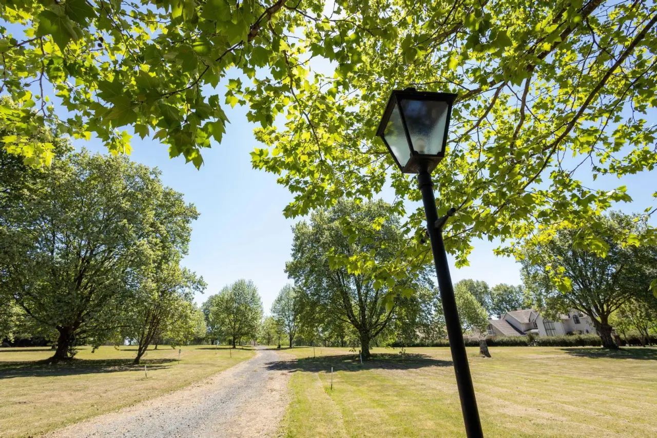 Vacant Land / Plot for Sale in Nottingham Road, photo 19