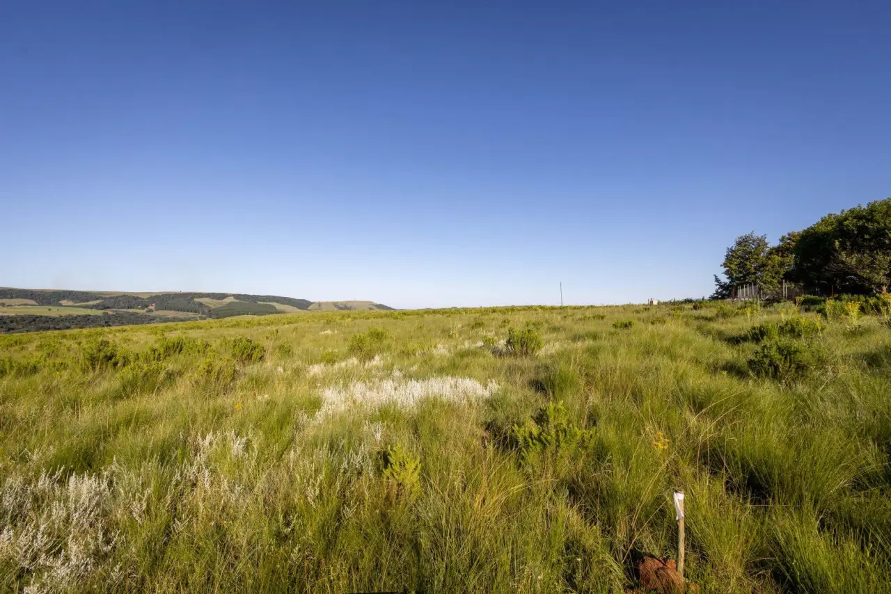 Vacant Land / Plot for Sale in Nottingham Road, photo 6