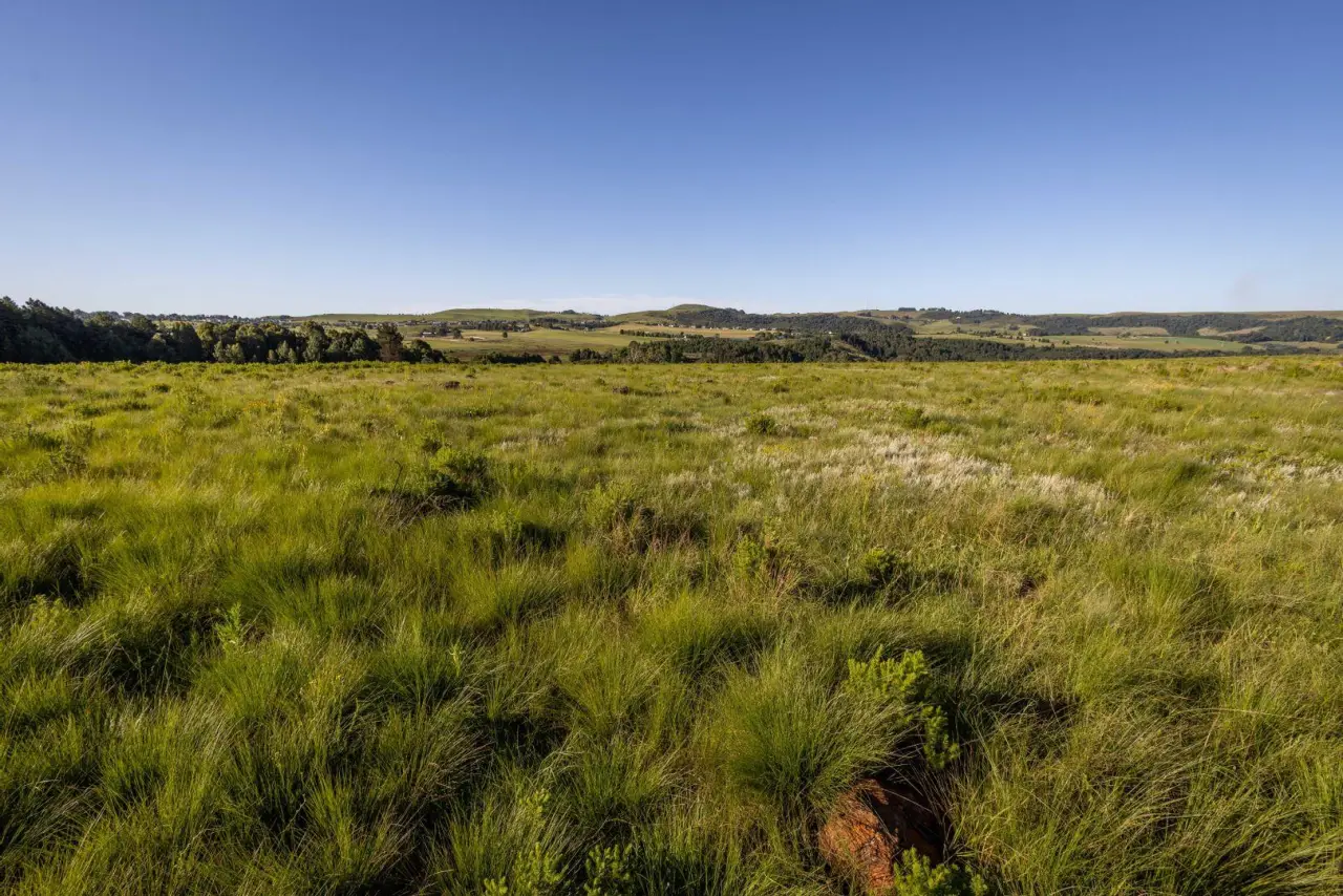 Vacant Land / Plot for Sale in Nottingham Road, photo 7