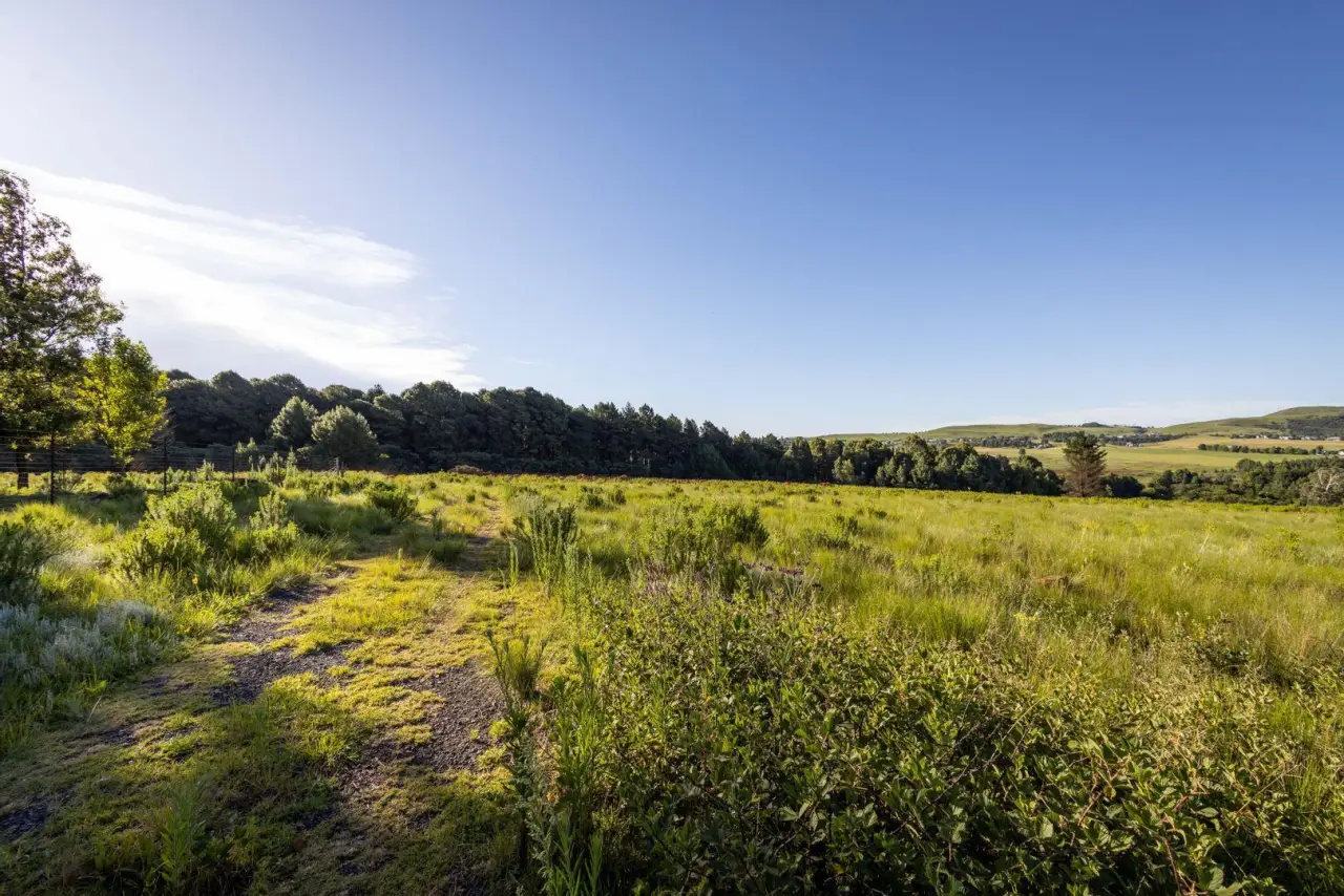 Vacant Land / Plot for Sale in Nottingham Road, photo 8