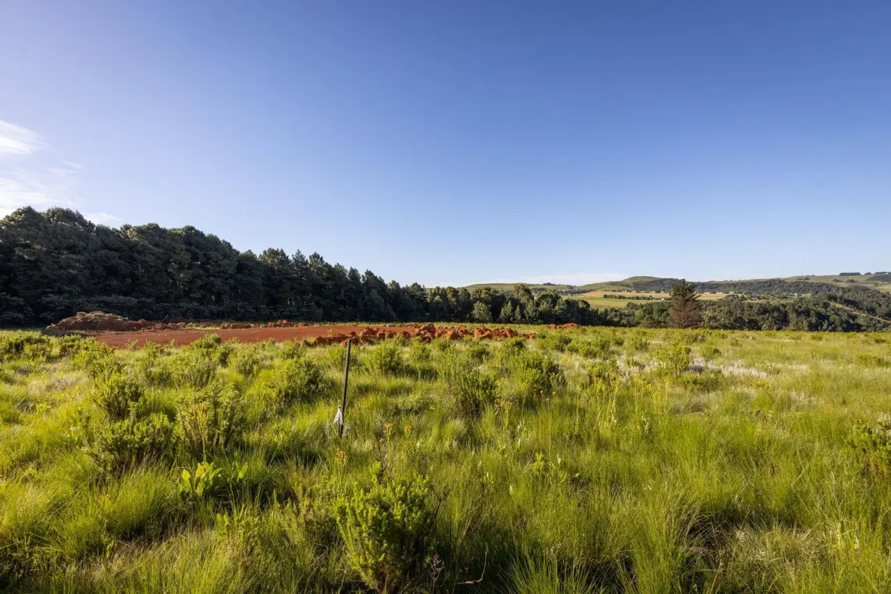 Vacant Land / Plot for Sale in Nottingham Road, photo 13