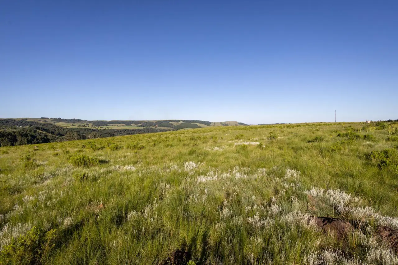 Vacant Land / Plot for Sale in Nottingham Road, photo 17