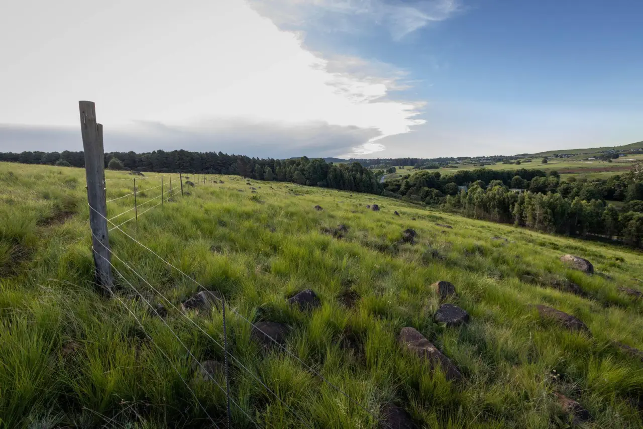 Vacant Land / Plot for Sale in Nottingham Road, photo 19