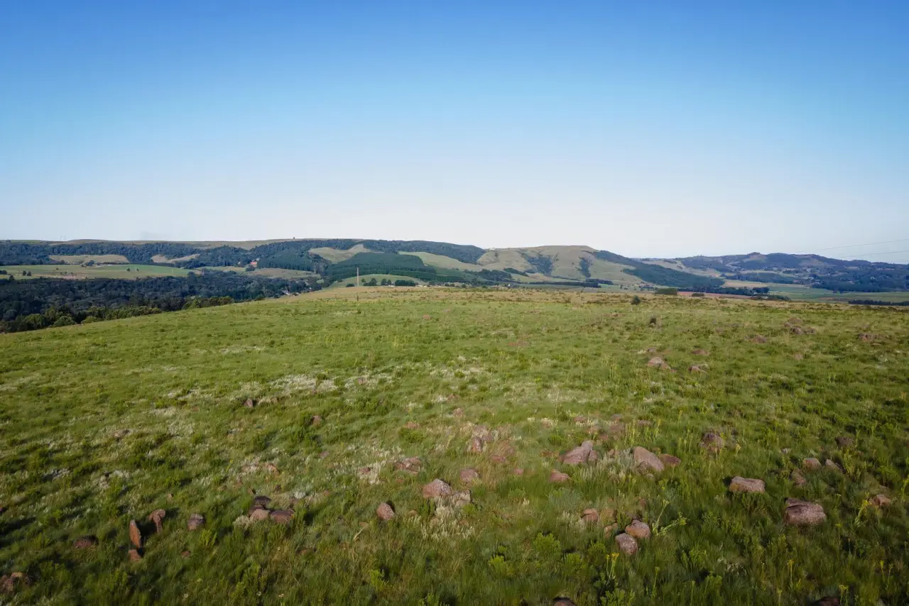 Vacant Land / Plot for Sale in Nottingham Road, photo 20