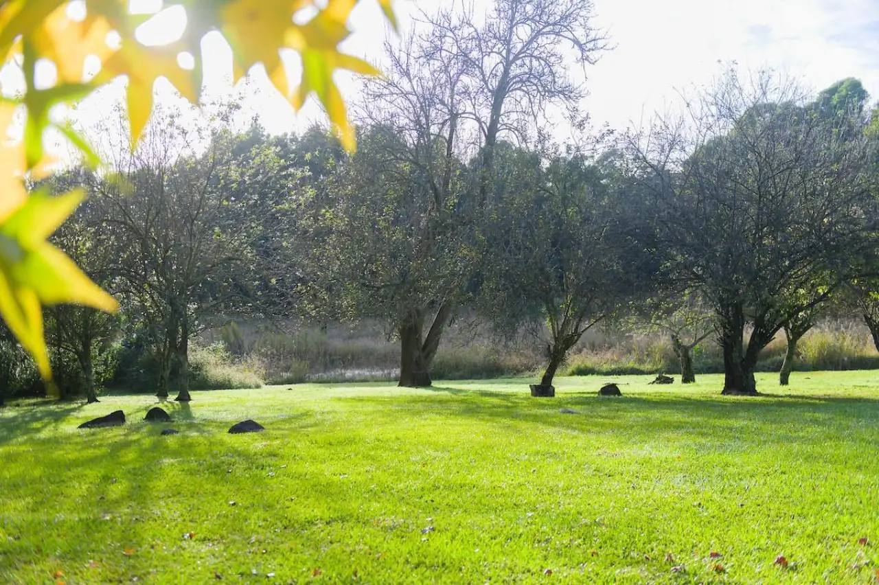Vacant Land / Plot for Sale in Balgowan, photo 7