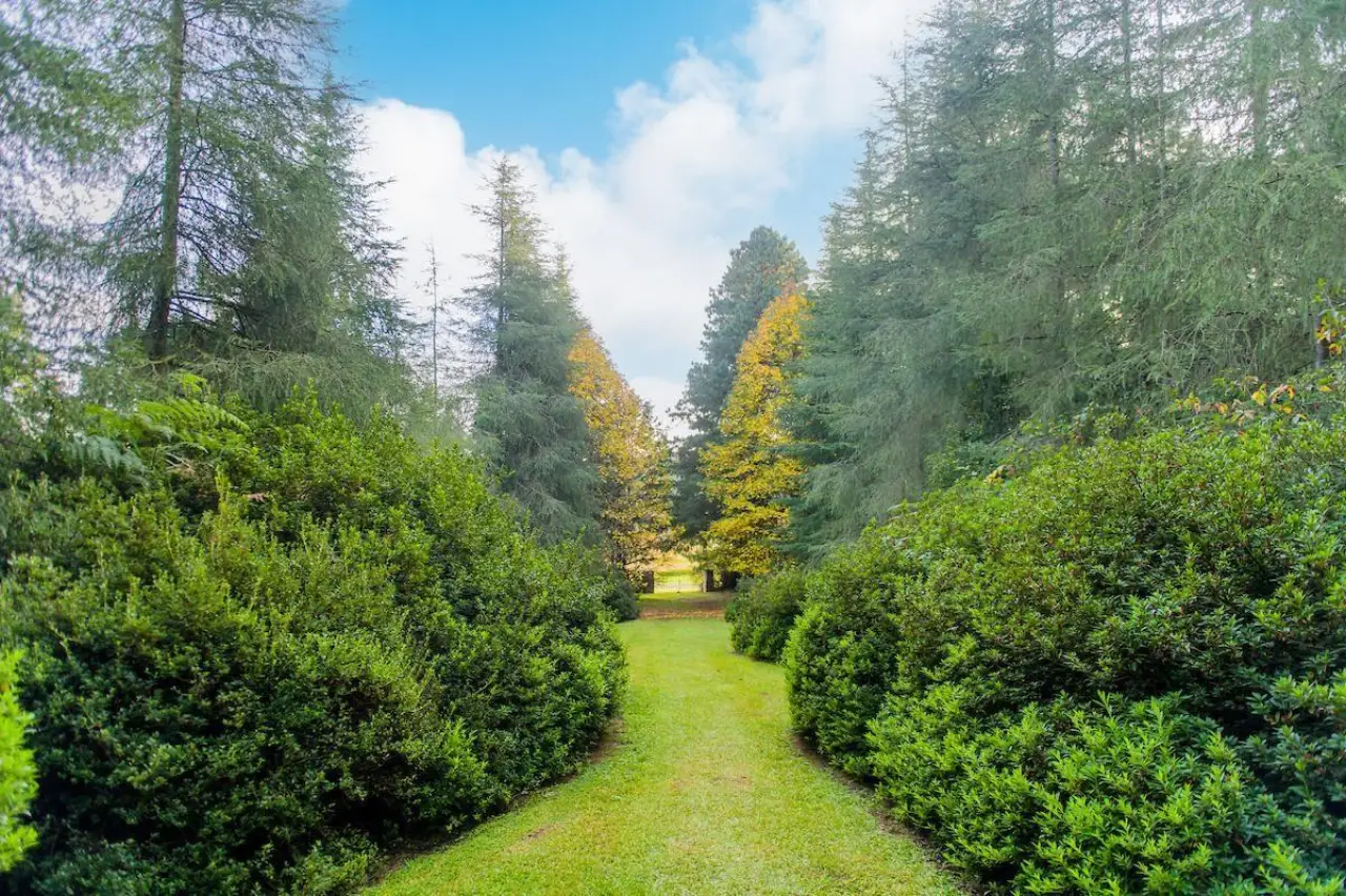 Vacant Land / Plot for Sale in Balgowan, photo 9