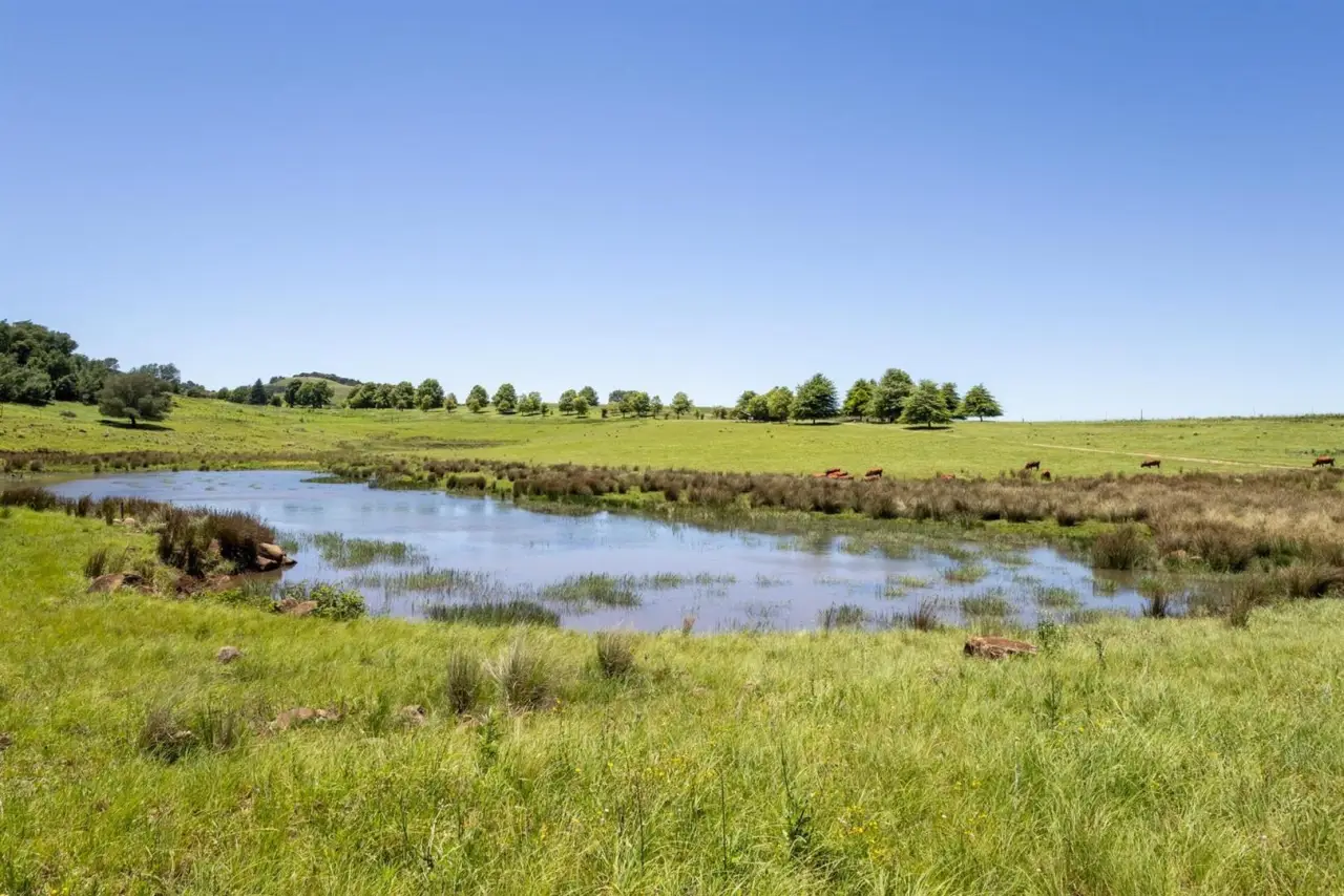 Farm for Sale in Dargle, photo 8