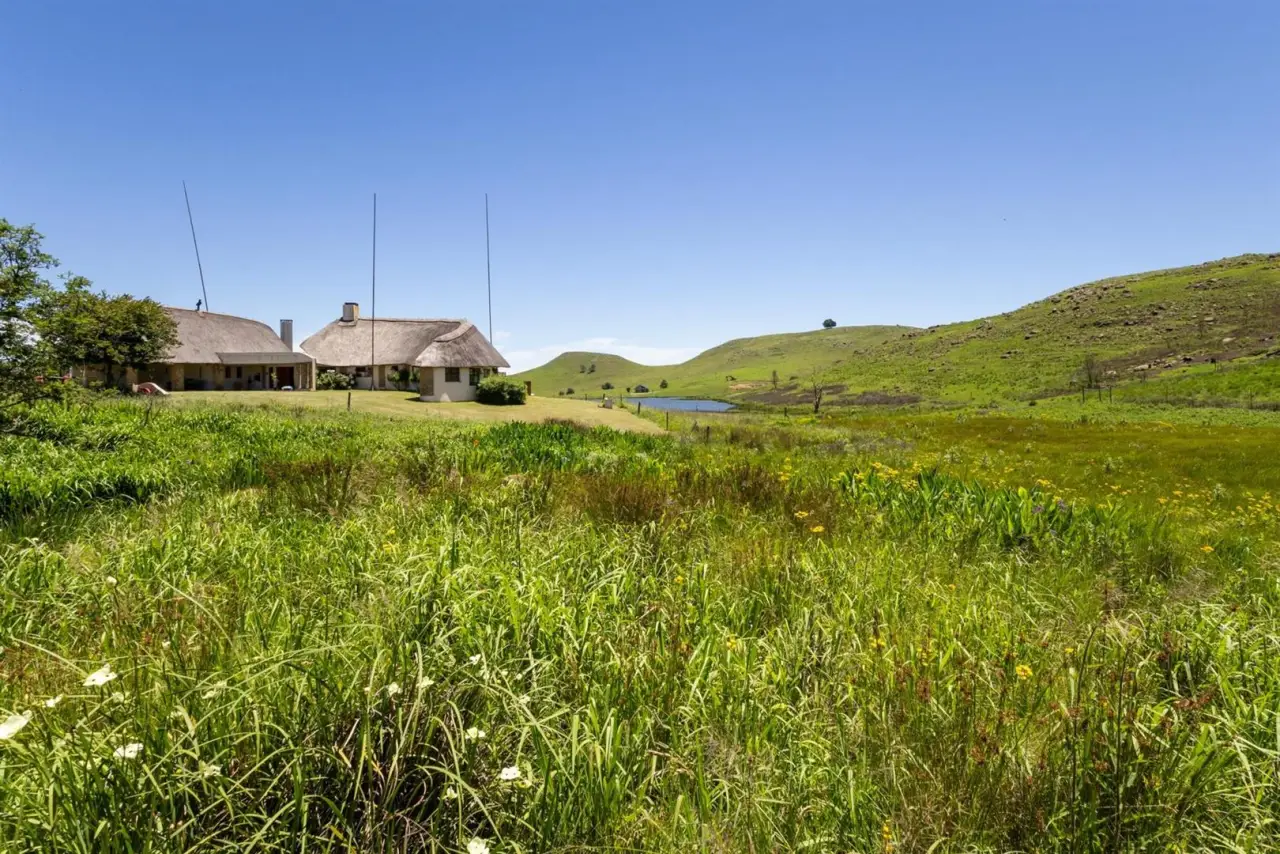 Farm for Sale in Dargle, photo 13