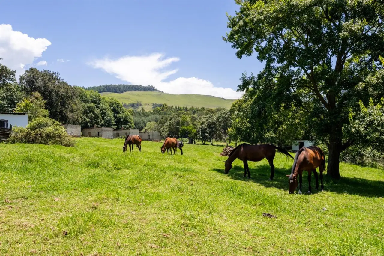 Farm for Sale in Nottingham Road, photo 4