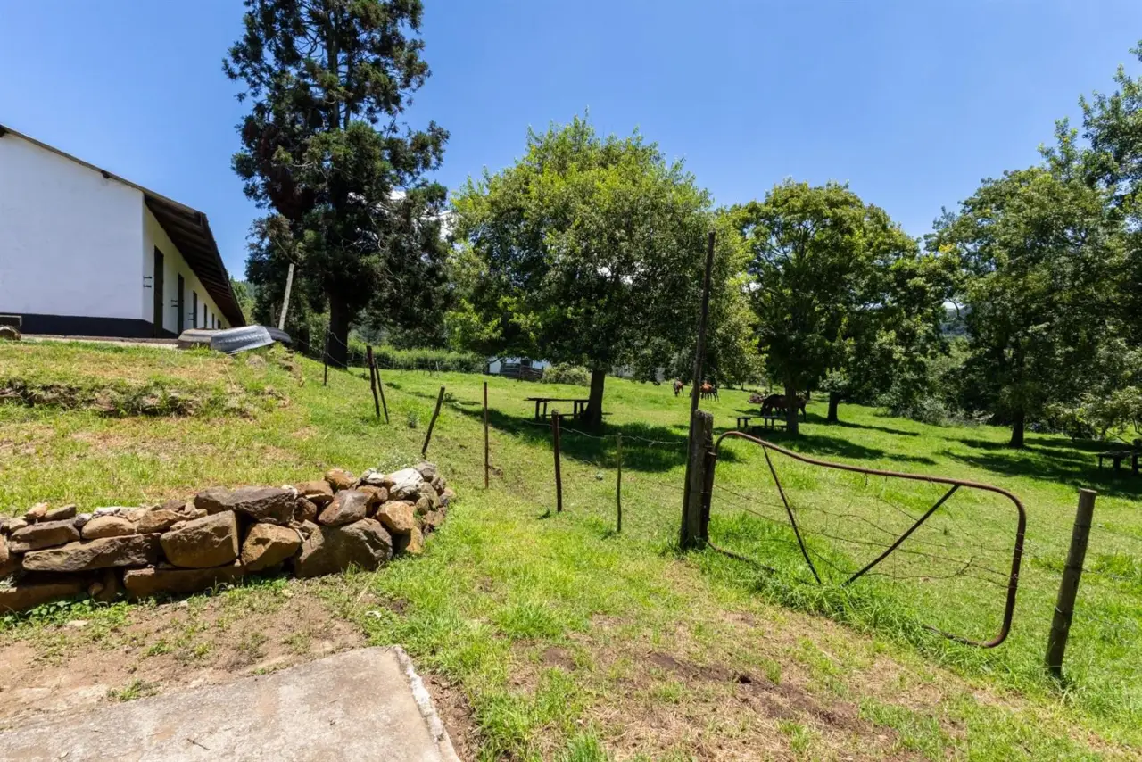 Farm for Sale in Nottingham Road, photo 15