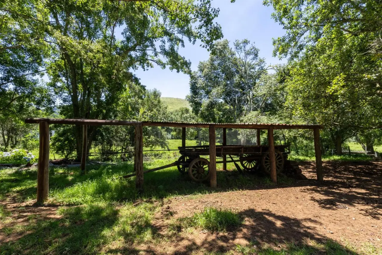 Farm for Sale in Nottingham Road, photo 16