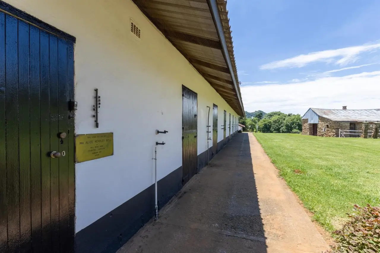 Farm for Sale in Nottingham Road, photo 17