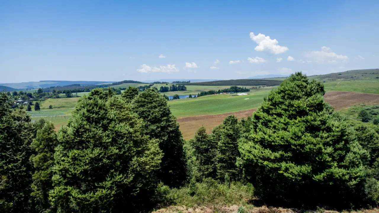 Vacant Land / Plot for Sale in Nottingham Road, photo 4