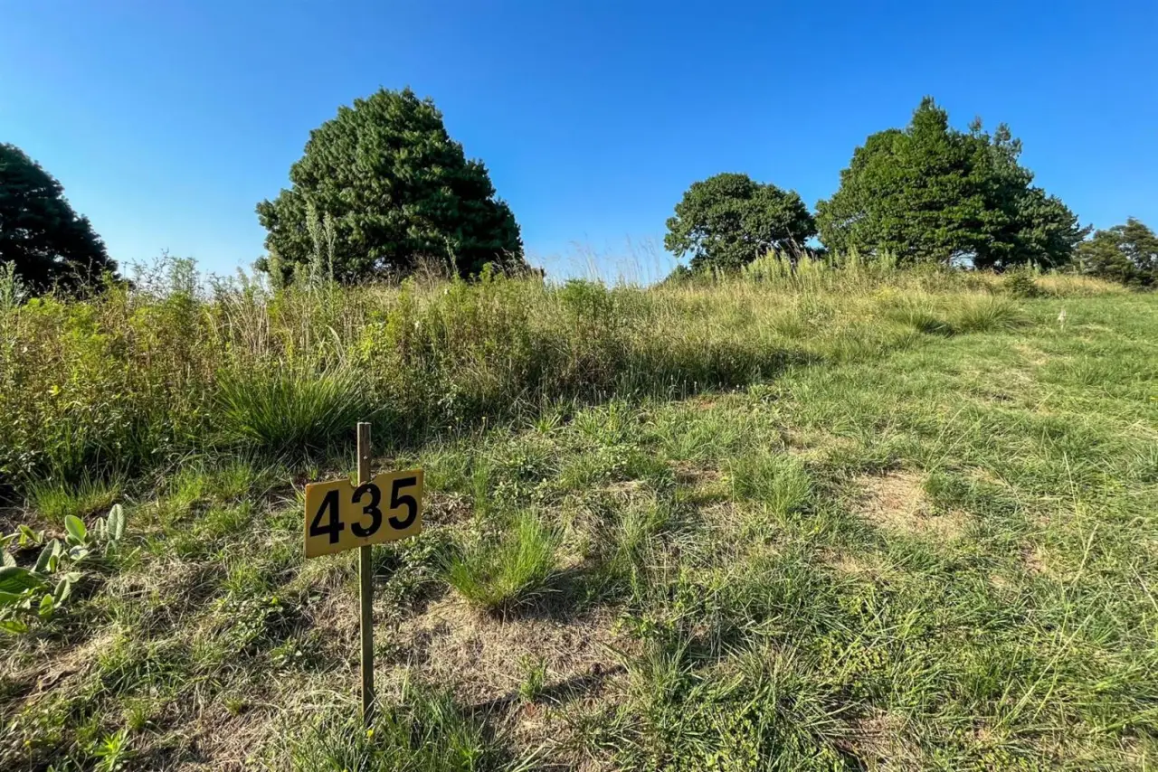 Vacant Land / Plot for Sale in Nottingham Road, photo 7