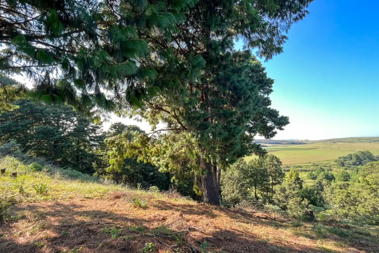 Vacant Land / Plot for Sale in Nottingham Road, photo 8