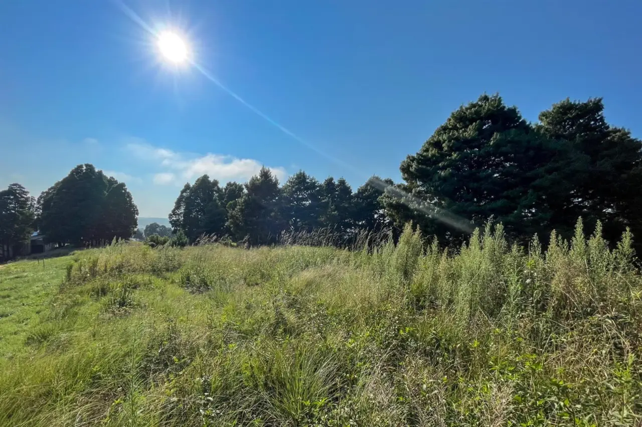 Vacant Land / Plot for Sale in Nottingham Road, photo 10