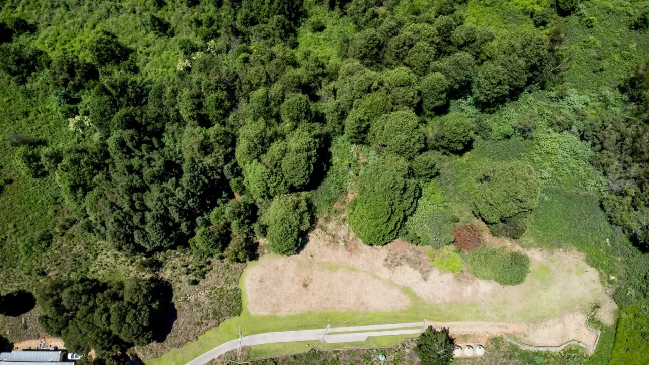 Vacant Land / Plot for Sale in Nottingham Road, photo 11