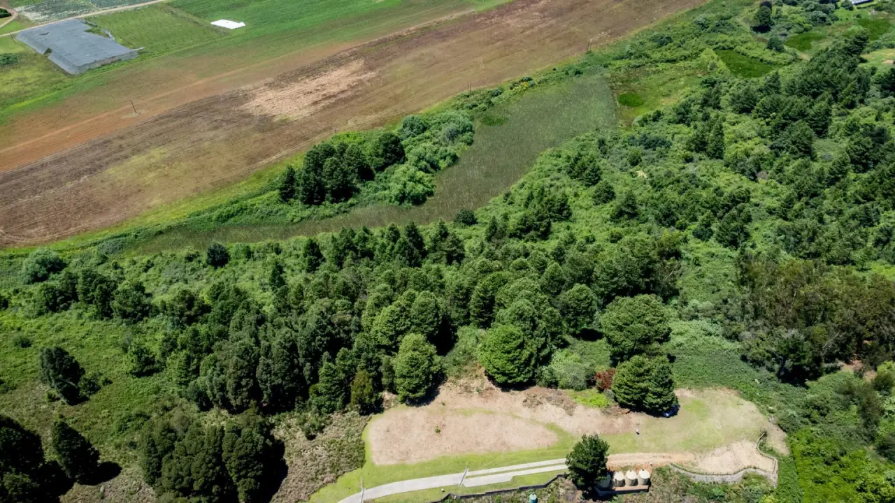 Vacant Land / Plot for Sale in Nottingham Road, photo 12