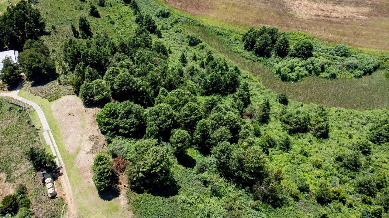 Vacant Land / Plot for Sale in Nottingham Road, photo 16