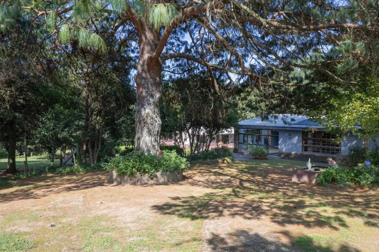 Farm for Sale in Nottingham Road, photo 5