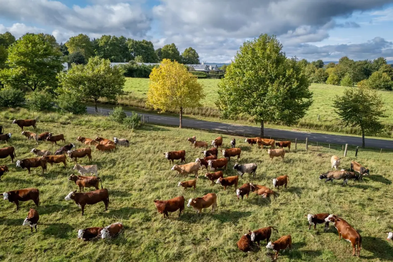 Vacant Land / Plot for Sale in Gowrie Farm Golf Estate, photo 10