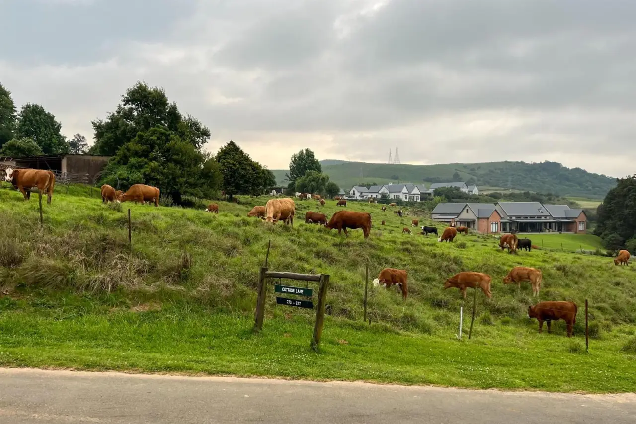 Vacant Land / Plot for Sale in Gowrie Farm Golf Estate, photo 12