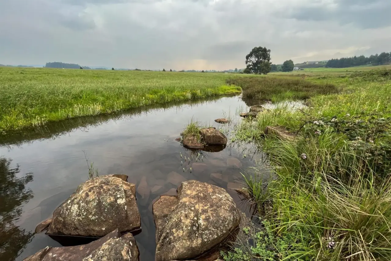 Vacant Land / Plot for Sale in Gowrie Farm Golf Estate, photo 20
