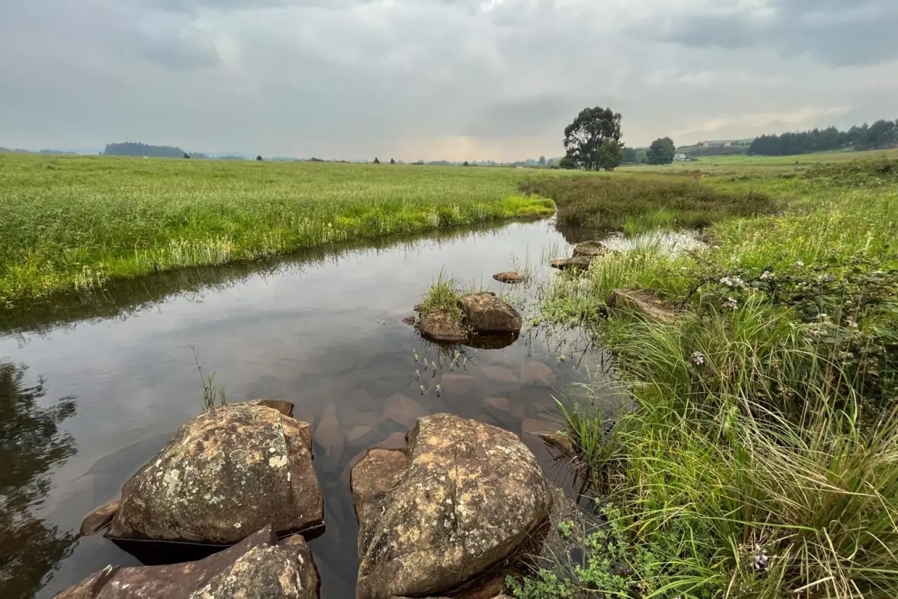 Vacant Land / Plot for Sale in Gowrie Farm Golf Estate, photo 4
