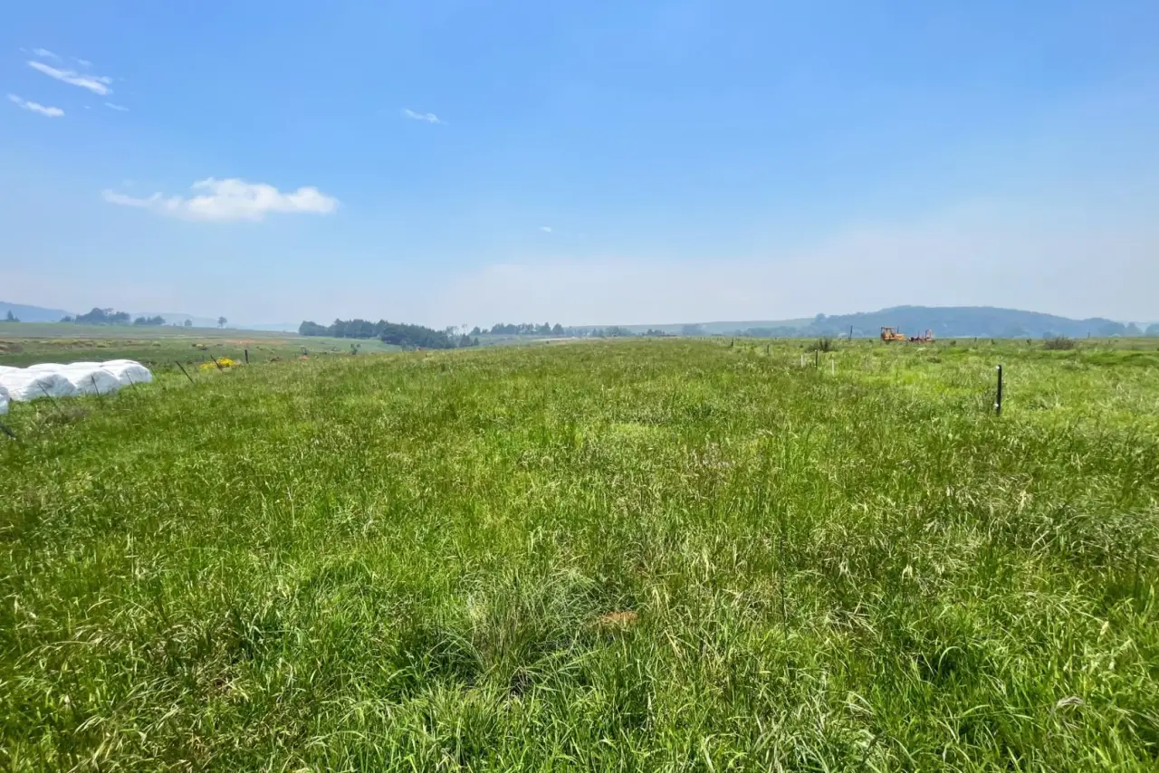 Vacant Land / Plot for Sale in Gowrie Farm Golf Estate, photo 17