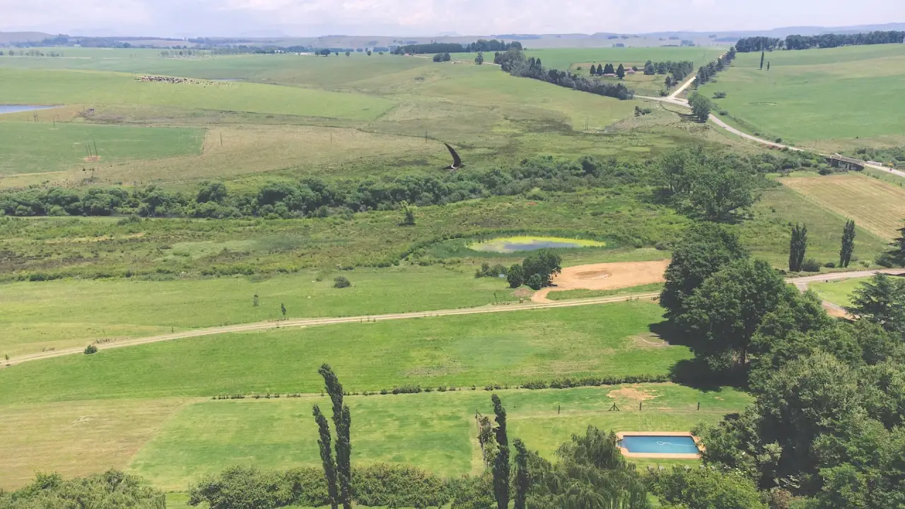 Vacant Land / Plot for Sale in Rosetta, photo 5