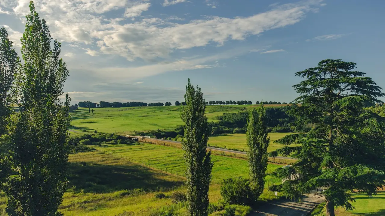 Vacant Land / Plot for Sale in Rosetta, photo 18