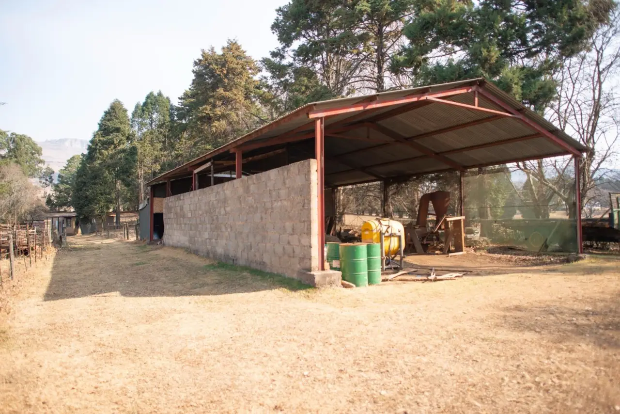 Farm for Sale in Kamberg Ah, photo 17